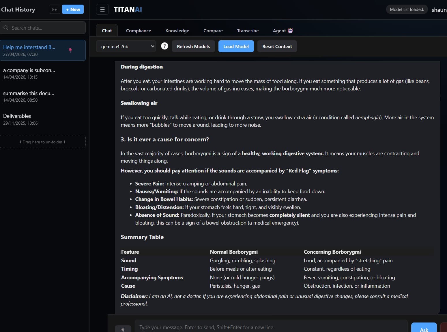 Custom AI Interface screenshot